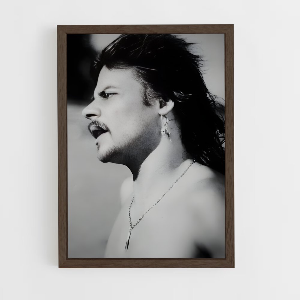 Poster Phil taylor nouvelle – affiche Fléchettes (vue 5)